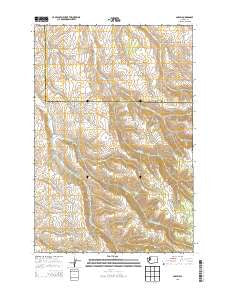 Coppei Washington Current topographic map, 1:24000 scale, 7.5 X 7.5 Minute, Year 2013