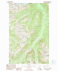 Copper Mountain Washington Historical topographic map, 1:24000 scale, 7.5 X 7.5 Minute, Year 1989