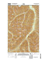 Copper Mountain Washington Current topographic map, 1:24000 scale, 7.5 X 7.5 Minute, Year 2014