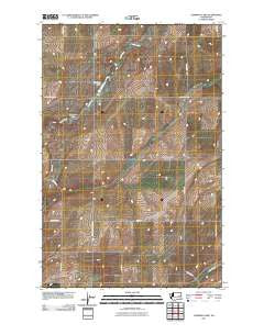 Cormana Lake Washington Historical topographic map, 1:24000 scale, 7.5 X 7.5 Minute, Year 2011