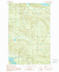 Cougar Mountain Washington Historical topographic map, 1:24000 scale, 7.5 X 7.5 Minute, Year 1989
