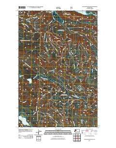 Cougar Mountain Washington Historical topographic map, 1:24000 scale, 7.5 X 7.5 Minute, Year 2011