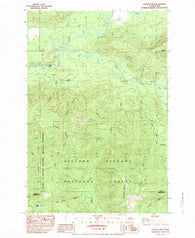Cowlitz Falls Washington Historical topographic map, 1:24000 scale, 7.5 X 7.5 Minute, Year 1983