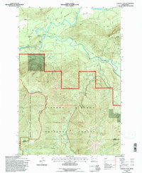 Cowlitz Falls Washington Historical topographic map, 1:24000 scale, 7.5 X 7.5 Minute, Year 1994