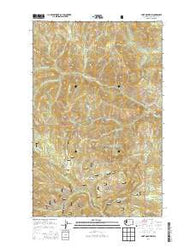 Coxit Mountain Washington Current topographic map, 1:24000 scale, 7.5 X 7.5 Minute, Year 2014