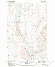 Coyote Butte Washington Historical topographic map, 1:24000 scale, 7.5 X 7.5 Minute, Year 1981