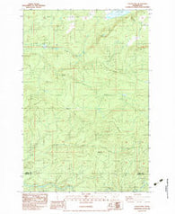 Coyote Mtn Washington Historical topographic map, 1:24000 scale, 7.5 X 7.5 Minute, Year 1983