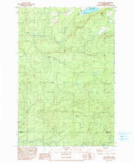 Coyote Mtn Washington Historical topographic map, 1:24000 scale, 7.5 X 7.5 Minute, Year 1983