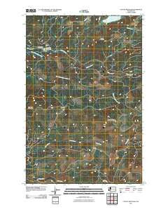 Coyote Mountain Washington Historical topographic map, 1:24000 scale, 7.5 X 7.5 Minute, Year 2011