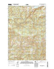 Coyote Mountain Washington Current topographic map, 1:24000 scale, 7.5 X 7.5 Minute, Year 2013