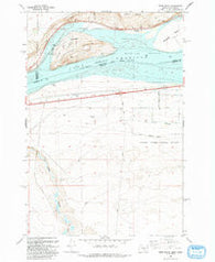 Crow Butte Washington Historical topographic map, 1:24000 scale, 7.5 X 7.5 Minute, Year 1993