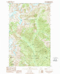 Damnation Peak Washington Historical topographic map, 1:24000 scale, 7.5 X 7.5 Minute, Year 1989