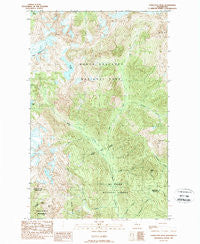Damnation Peak Washington Historical topographic map, 1:24000 scale, 7.5 X 7.5 Minute, Year 1989