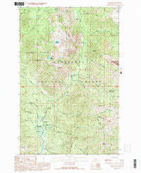 Davis Peak Washington Historical topographic map, 1:24000 scale, 7.5 X 7.5 Minute, Year 1989