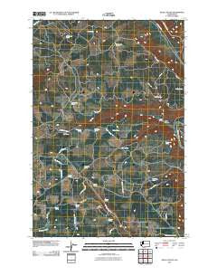Dead Canyon Washington Historical topographic map, 1:24000 scale, 7.5 X 7.5 Minute, Year 2011