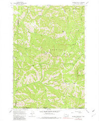 Deadman Peak Washington Historical topographic map, 1:24000 scale, 7.5 X 7.5 Minute, Year 1967