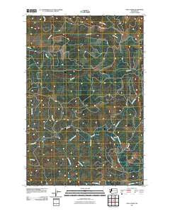 Dean Creek Washington Historical topographic map, 1:24000 scale, 7.5 X 7.5 Minute, Year 2011