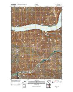 Delaney Washington Historical topographic map, 1:24000 scale, 7.5 X 7.5 Minute, Year 2011