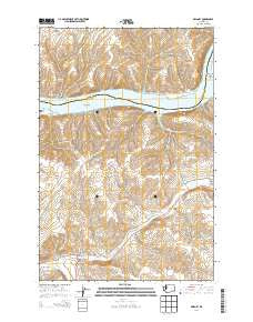 Delaney Washington Current topographic map, 1:24000 scale, 7.5 X 7.5 Minute, Year 2014
