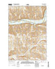 Delaney Washington Current topographic map, 1:24000 scale, 7.5 X 7.5 Minute, Year 2014