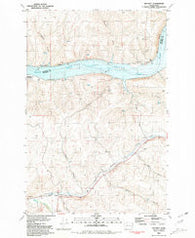 Delaney Washington Historical topographic map, 1:24000 scale, 7.5 X 7.5 Minute, Year 1981