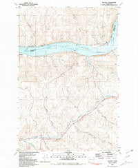Delaney Washington Historical topographic map, 1:24000 scale, 7.5 X 7.5 Minute, Year 1981