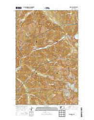 Diablo Dam Washington Current topographic map, 1:24000 scale, 7.5 X 7.5 Minute, Year 2014