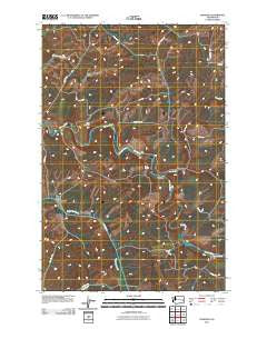 Diamond Washington Historical topographic map, 1:24000 scale, 7.5 X 7.5 Minute, Year 2011