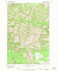 Diamond Peak Washington Historical topographic map, 1:24000 scale, 7.5 X 7.5 Minute, Year 1967