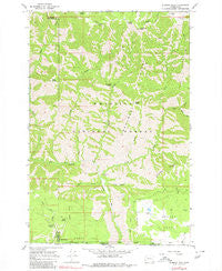 Diamond Peak Washington Historical topographic map, 1:24000 scale, 7.5 X 7.5 Minute, Year 1967