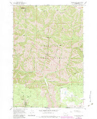 Diamond Peak Washington Historical topographic map, 1:24000 scale, 7.5 X 7.5 Minute, Year 1967