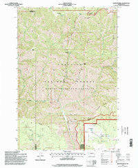 Diamond Peak Washington Historical topographic map, 1:24000 scale, 7.5 X 7.5 Minute, Year 1995