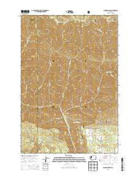 Diamond Peak Washington Current topographic map, 1:24000 scale, 7.5 X 7.5 Minute, Year 2013