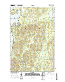 Dickey Lake Washington Current topographic map, 1:24000 scale, 7.5 X 7.5 Minute, Year 2014