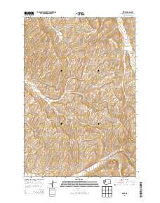 Dixie Washington Current topographic map, 1:24000 scale, 7.5 X 7.5 Minute, Year 2013