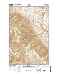 Douglas Washington Current topographic map, 1:24000 scale, 7.5 X 7.5 Minute, Year 2014
