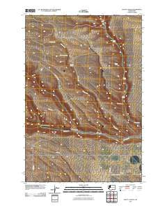 Douty Canyon Washington Historical topographic map, 1:24000 scale, 7.5 X 7.5 Minute, Year 2011