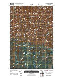 Dry Bed Lakes Washington Historical topographic map, 1:24000 scale, 7.5 X 7.5 Minute, Year 2011