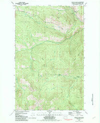 Duncan Ridge Washington Historical topographic map, 1:24000 scale, 7.5 X 7.5 Minute, Year 1981