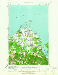 Dungeness Washington Historical topographic map, 1:62500 scale, 15 X 15 Minute, Year 1938