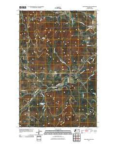Dunn Mountain Washington Historical topographic map, 1:24000 scale, 7.5 X 7.5 Minute, Year 2011