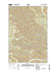 East of Raymond Washington Current topographic map, 1:24000 scale, 7.5 X 7.5 Minute, Year 2013