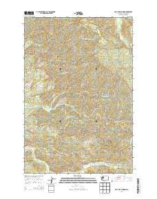 East of Raymond Washington Current topographic map, 1:24000 scale, 7.5 X 7.5 Minute, Year 2013