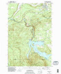 Eatonville Washington Historical topographic map, 1:24000 scale, 7.5 X 7.5 Minute, Year 1990