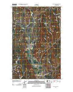 Echo Valley Washington Historical topographic map, 1:24000 scale, 7.5 X 7.5 Minute, Year 2011