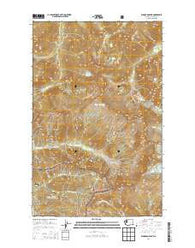 Eldorado Peak Washington Current topographic map, 1:24000 scale, 7.5 X 7.5 Minute, Year 2014