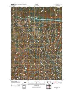 Elk Mountain Washington Historical topographic map, 1:24000 scale, 7.5 X 7.5 Minute, Year 2011