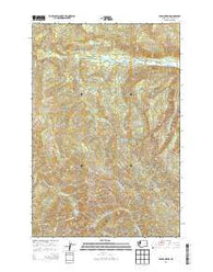 Elk Mountain Washington Current topographic map, 1:24000 scale, 7.5 X 7.5 Minute, Year 2014