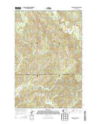 Elkhorn Creek Washington Current topographic map, 1:24000 scale, 7.5 X 7.5 Minute, Year 2013