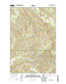 Elkhorn Creek Washington Current topographic map, 1:24000 scale, 7.5 X 7.5 Minute, Year 2013